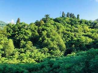 Виллы GREEN CAPE VILLA Батуми Вилла с 3 спальнями-46